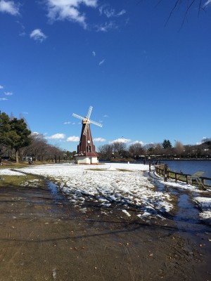 浮間公園　風車